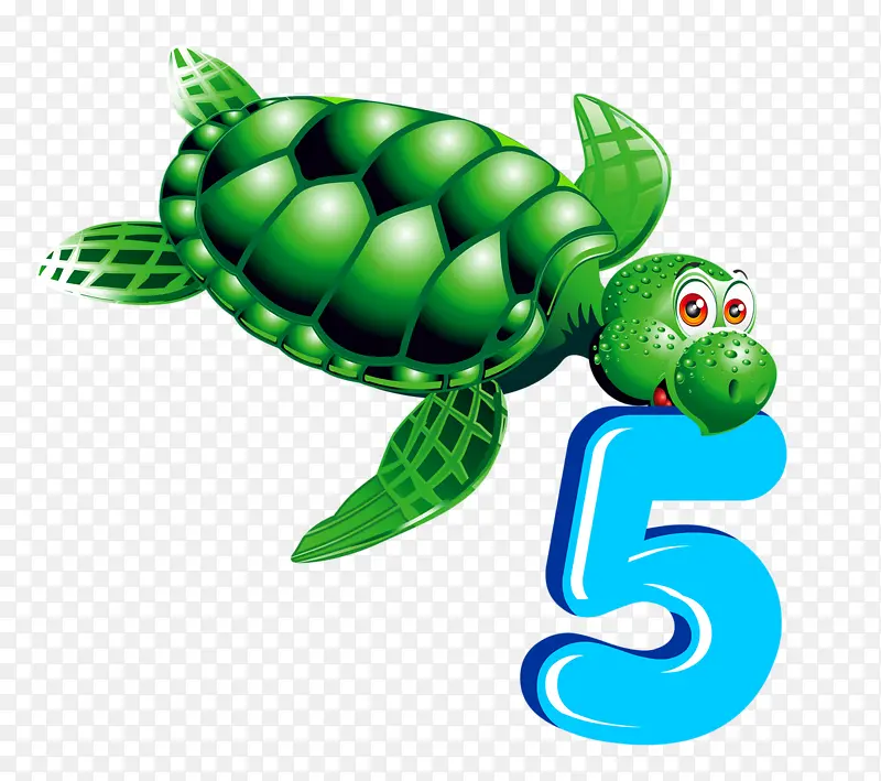 海龟戏数字