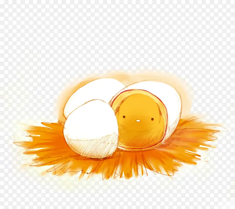 鸡蛋小鸡