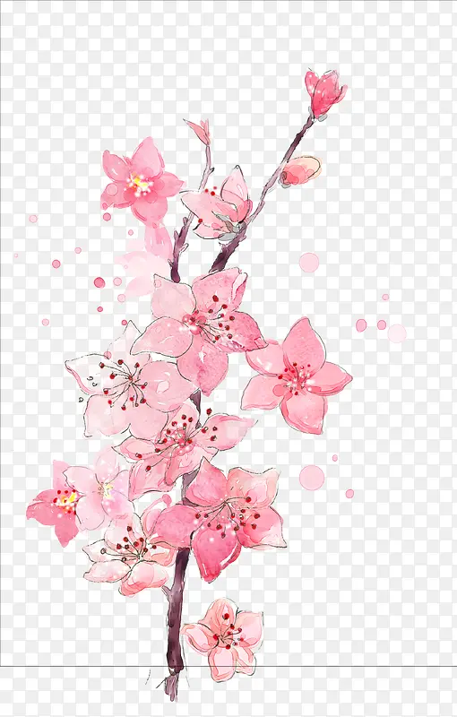 手绘粉色的桃花瓣树枝