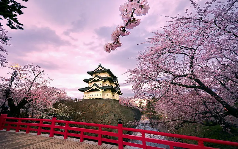 粉色樱花房屋小桥高清素材