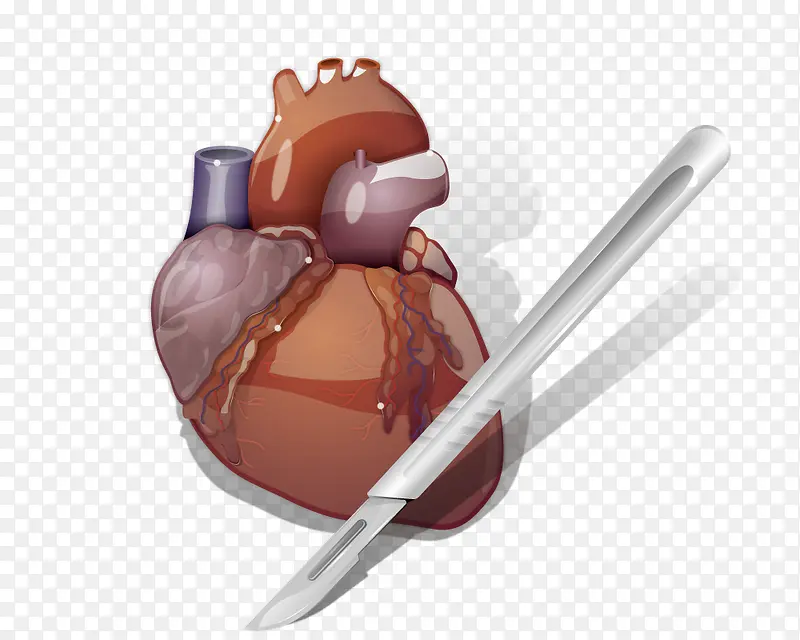 人体器官心脏和手术刀