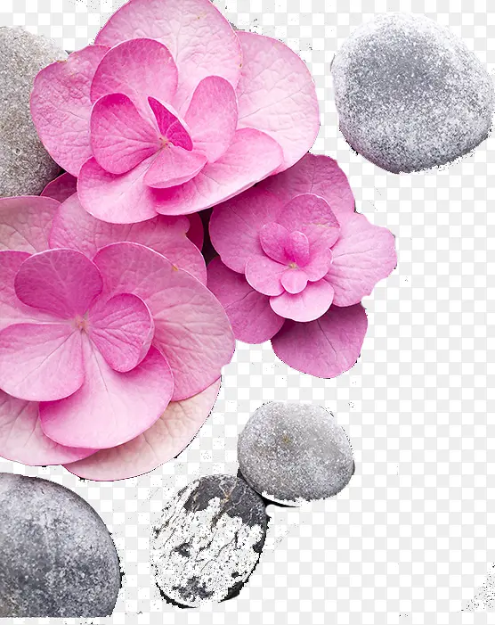 石头与花朵
