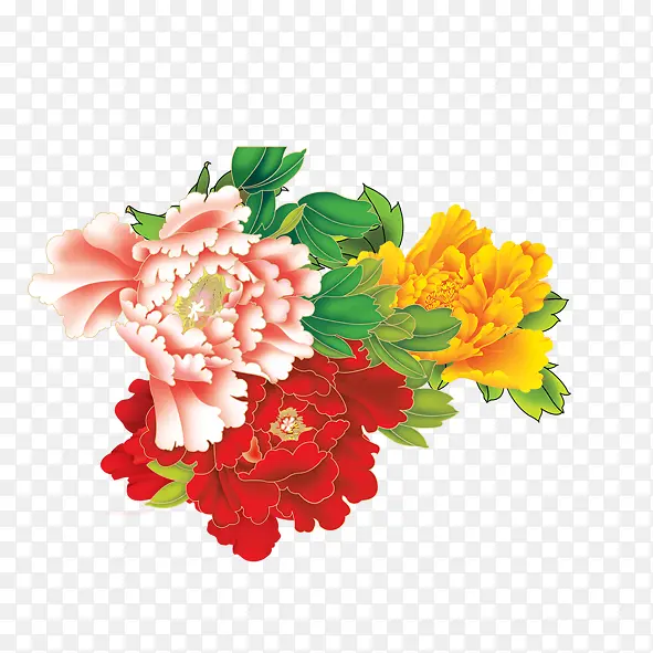 牡丹