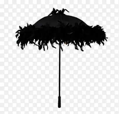 黑色羽毛遮阳伞