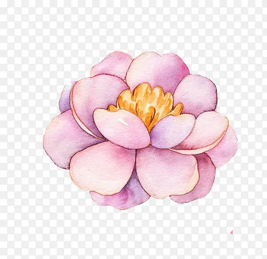 手绘水彩粉色花瓣花朵