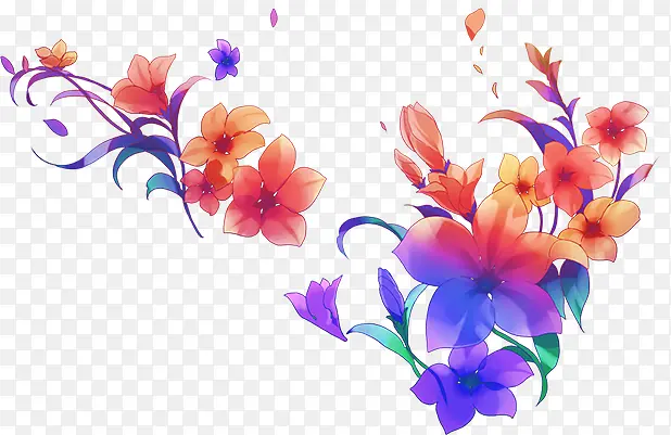 彩色的花
