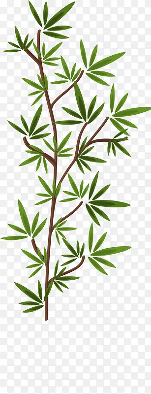 绿色植物PNG图片素材下载_图片编号qarbkzon-免抠素材网