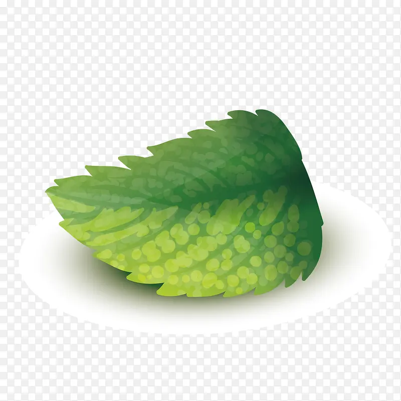 矢量一片叶子