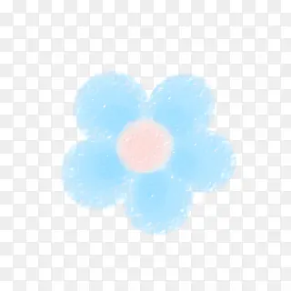 蓝白色花朵