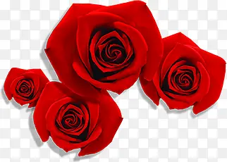 创意合成手绘红色的玫瑰花效果