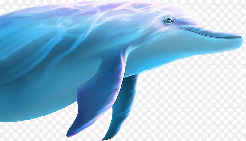 游动蓝色海豚免抠PNG图片