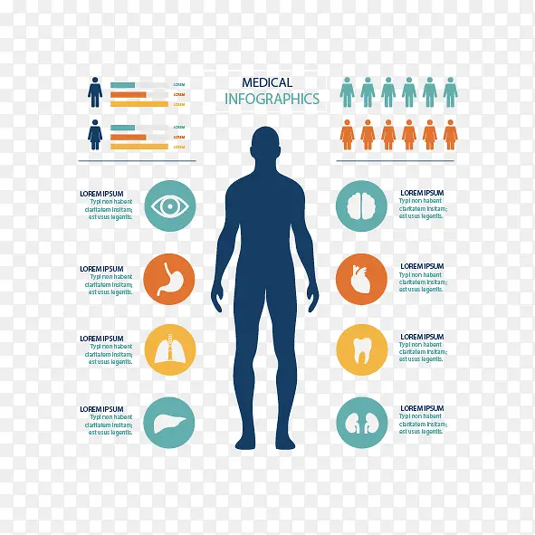 矢量人体分析图案