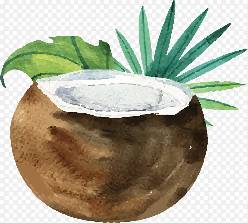 水彩手绘新鲜椰汁