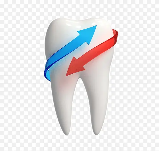 牙科3D牙齿