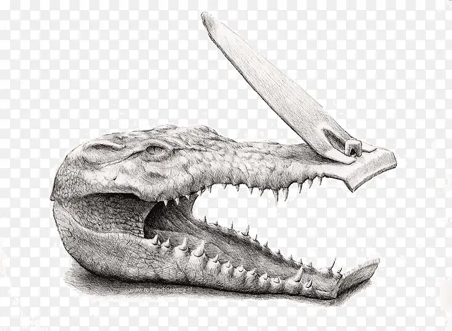 共混物插画设计