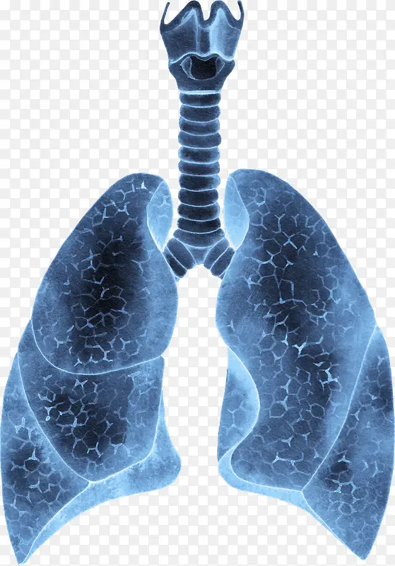 炫彩蓝色人体器官肺部