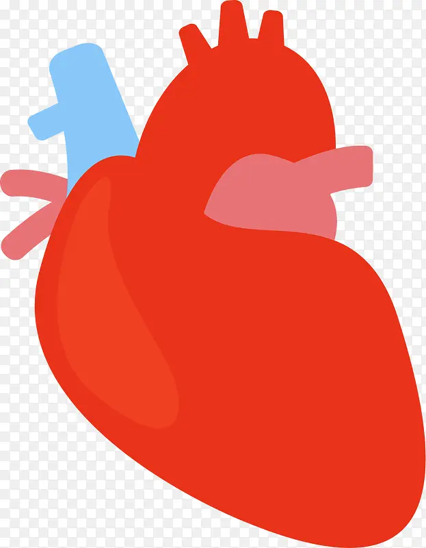 大红色心脏器官手绘图