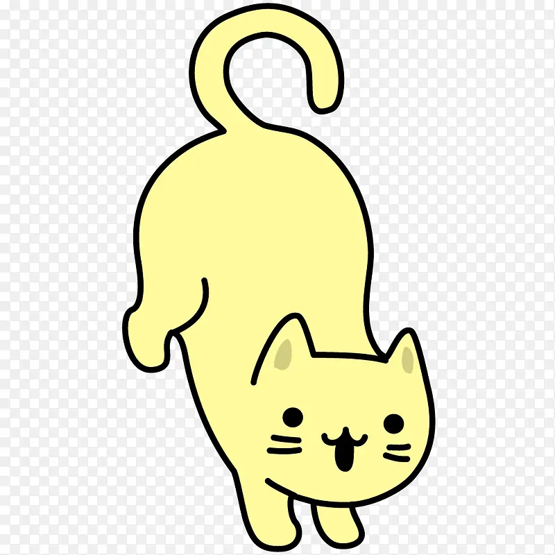 黄色猫咪