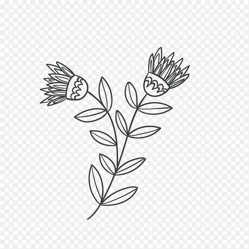 创意矢量手绘花卉叶子