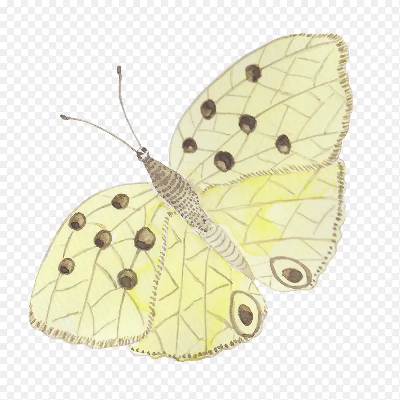 手绘水彩黄色蝴蝶免抠图