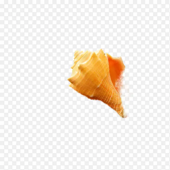 海螺