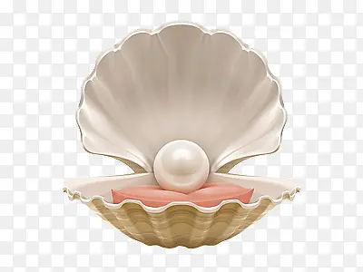 贝壳珍珠高清图片