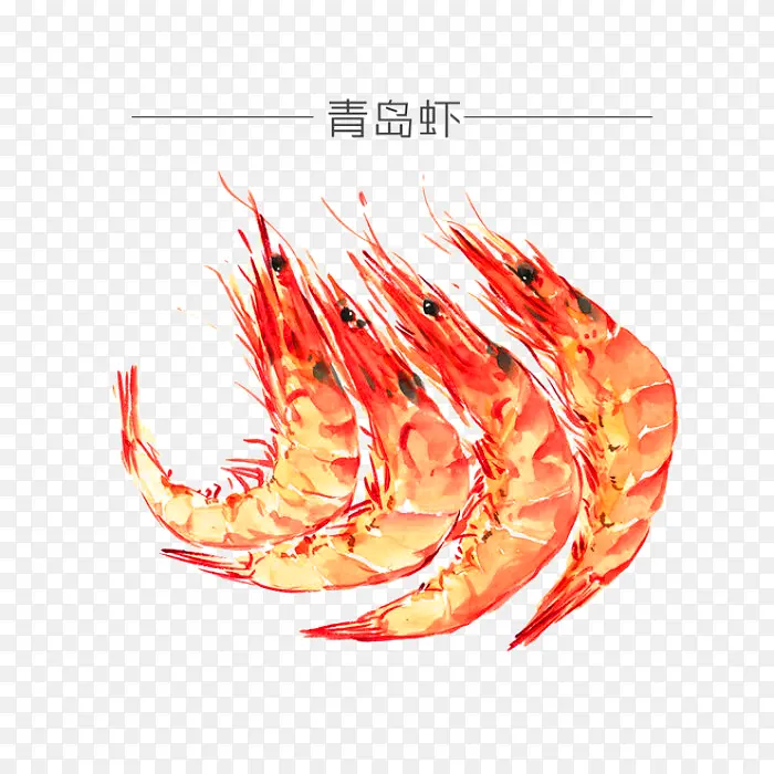 红色的虾