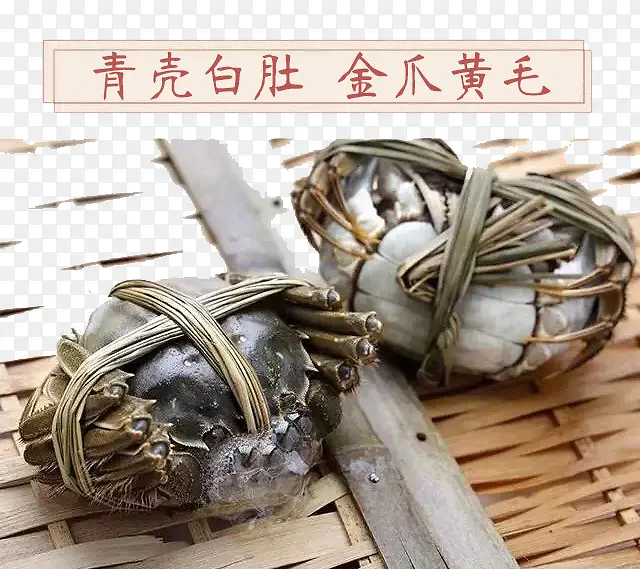 螃蟹