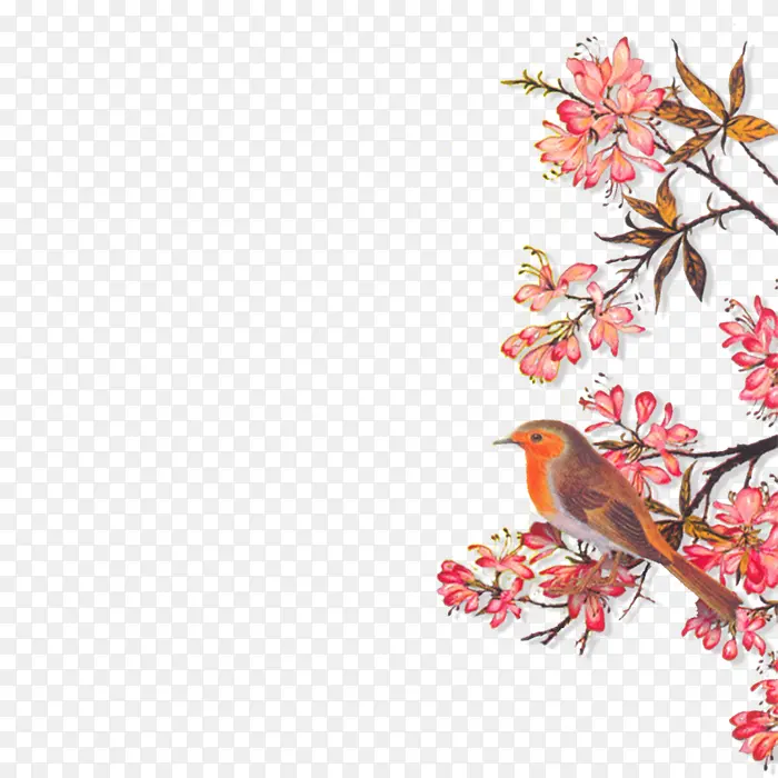 小鸟与枫叶