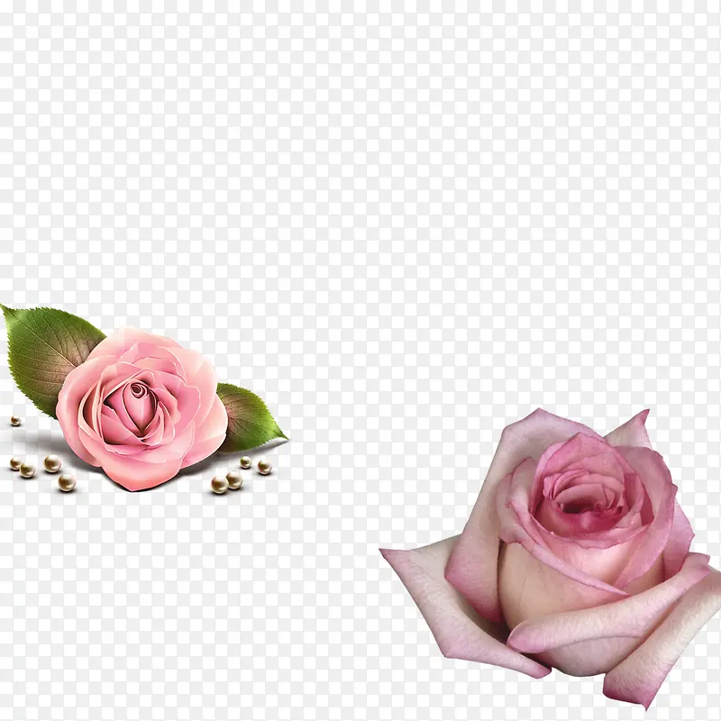 两朵花
