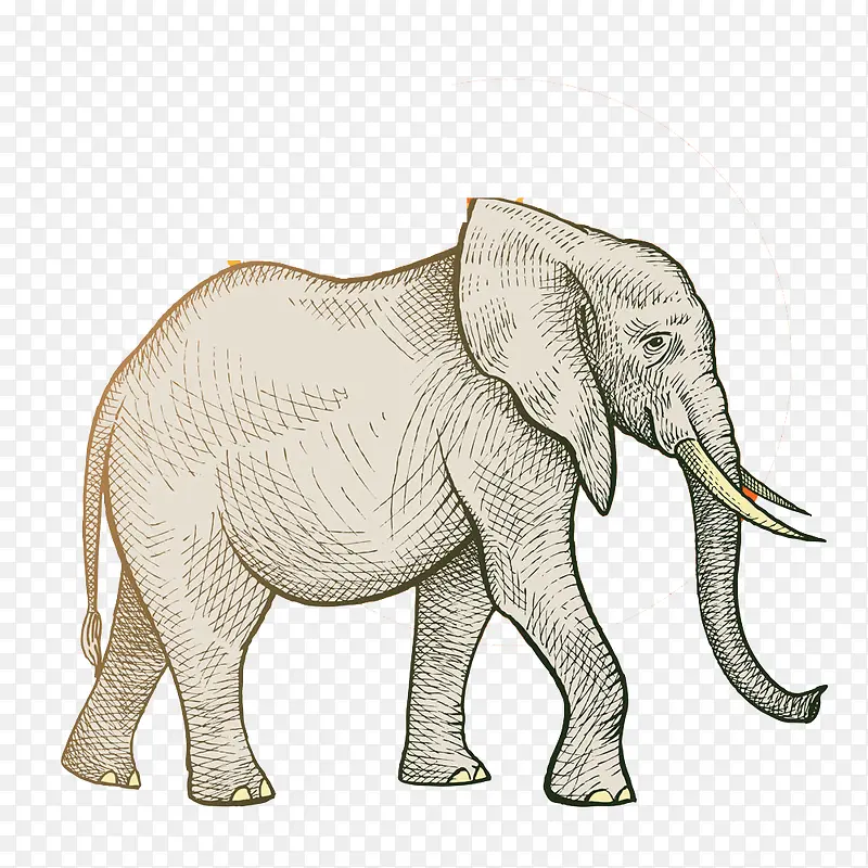 简单线条手绘大象
