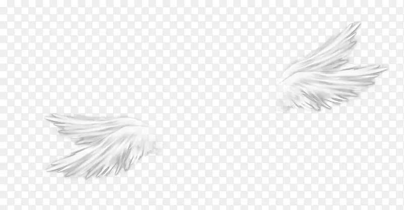 手绘创意素描天使的翅膀老师