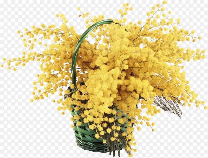 鲜花花卉水彩花卉 黄色花朵花篮