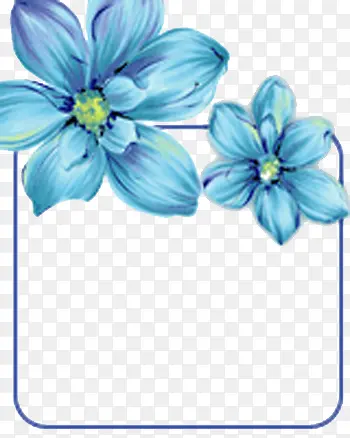 两朵耀眼的蓝色花