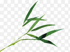 高清水墨绿色竹子竹叶装饰