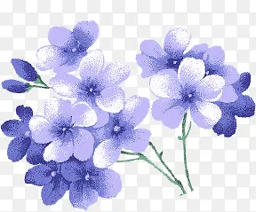 蓝色青花植物手绘