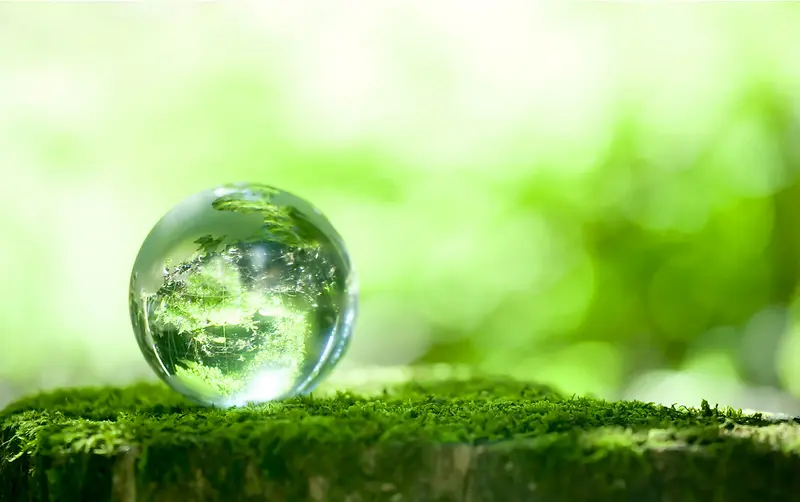 玻璃球 景色 绿色 环保 青苔