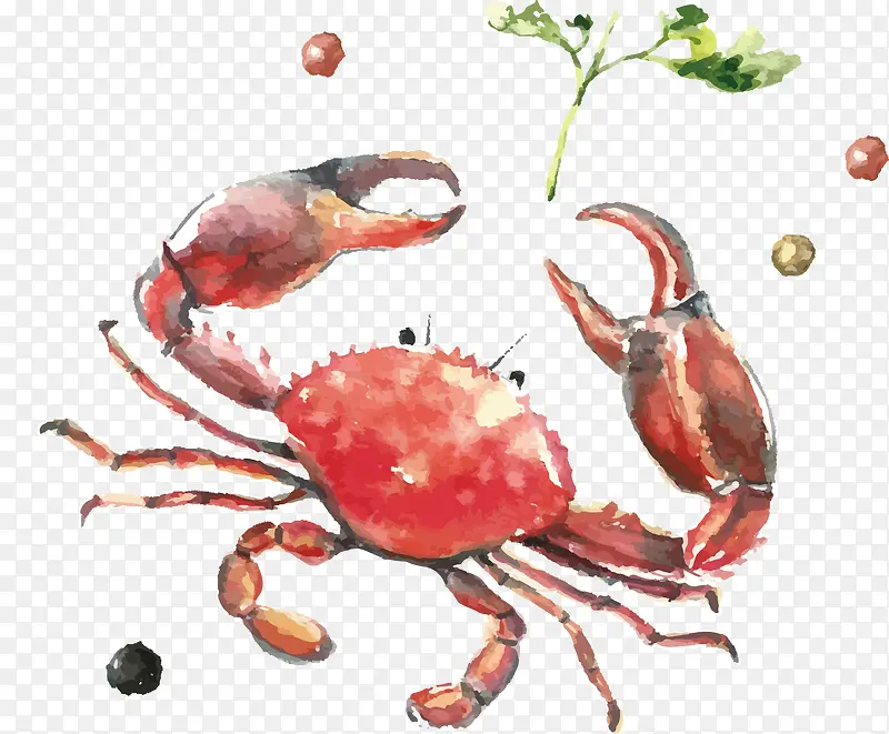 手绘水彩大螃蟹