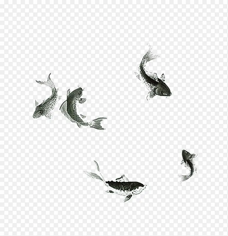 水墨鲤鱼