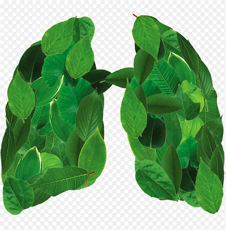 绿叶肺部保护环境公益海报