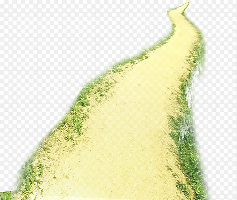 春天绿树道路风光