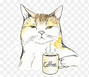 举着咖啡杯的猫