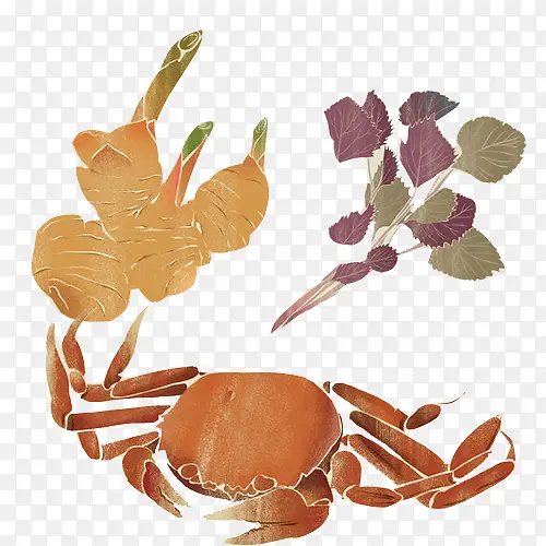 紫苏蒸蟹原料手绘画素材图片