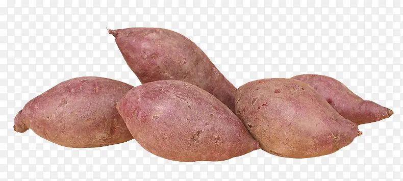 农家紫色红薯