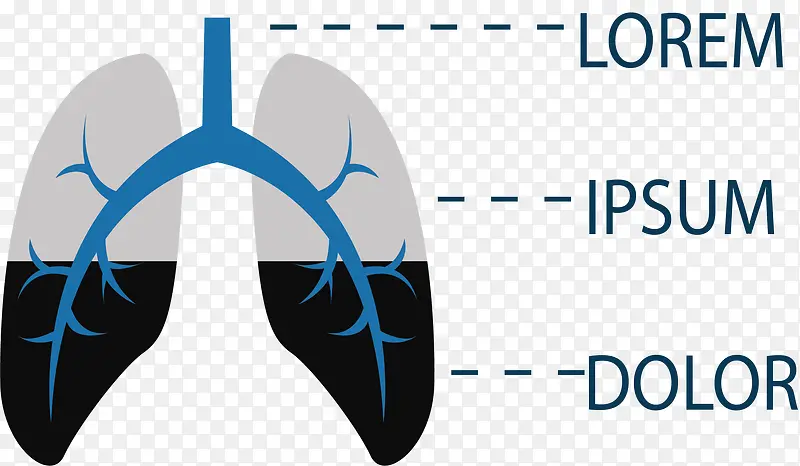 肺部污染分类图
