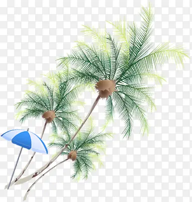 夏季椰树遮阳伞美景