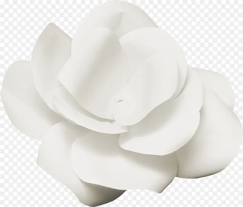 花卉图案鲜花海报背景 白色花朵