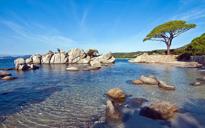 蓝天海水岩石树木