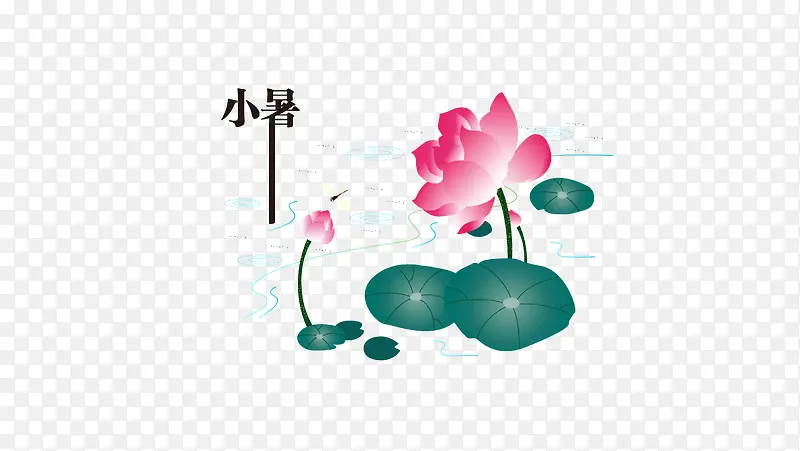 小暑荷花手绘