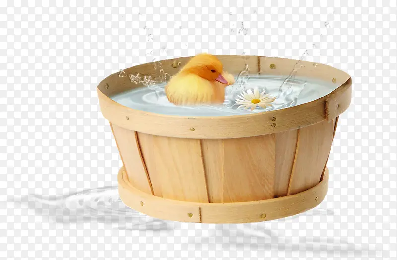 小鸭洗澡